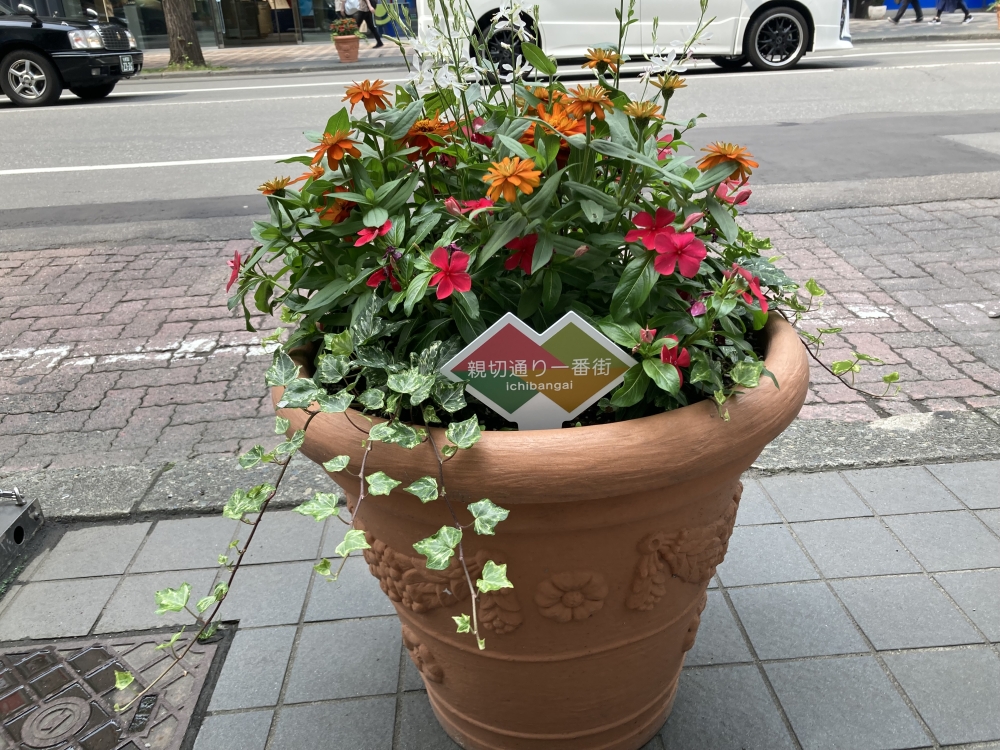 札幌一番街商店街のNEWS